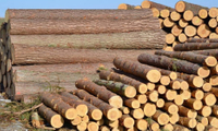 Indústria de madeira